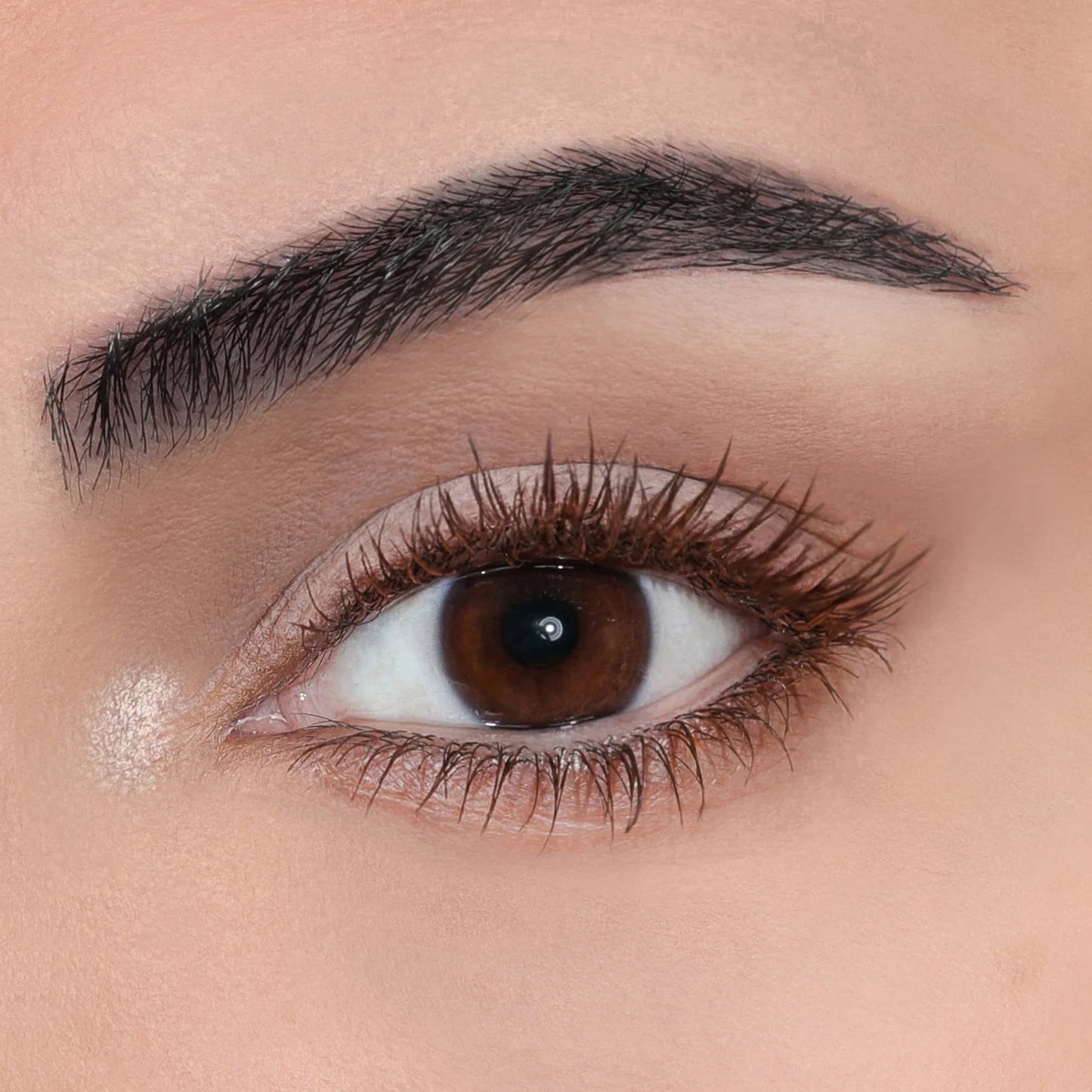 Mascara Maximize (brun)